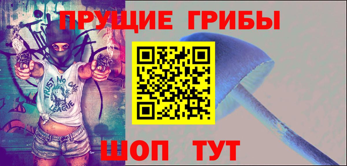 Псилоцибиновые грибы Psilocybine cubensis Сафоново