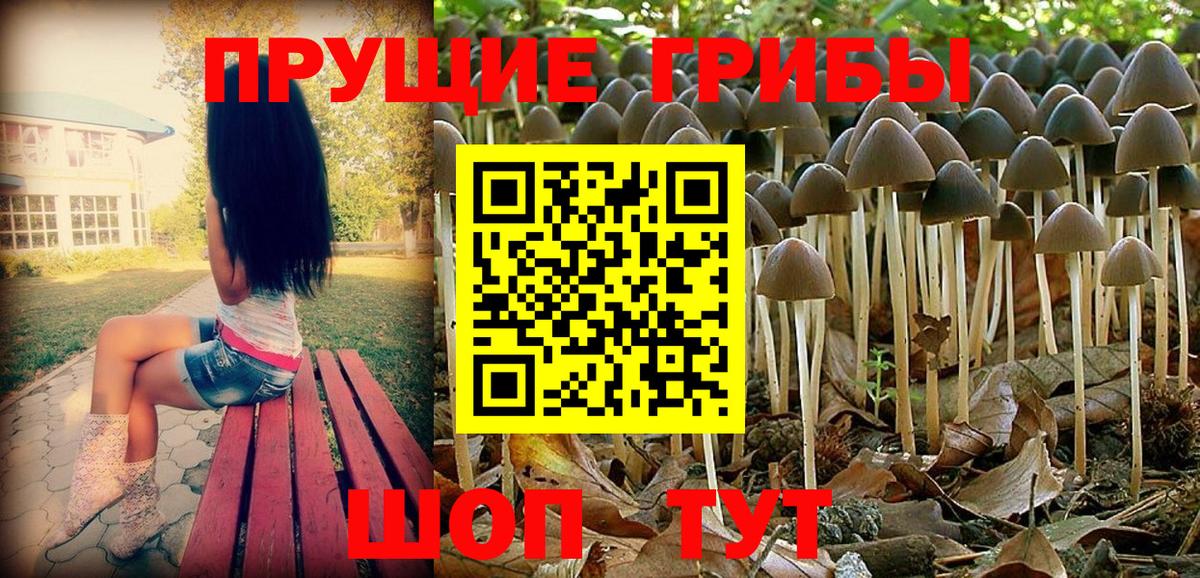 Сафоново  Галлюциногенные грибы MAGIC MUSHROOMS  Вход с VPN  Псилоцибиновые грибы MAGIC MUSHROOMS 